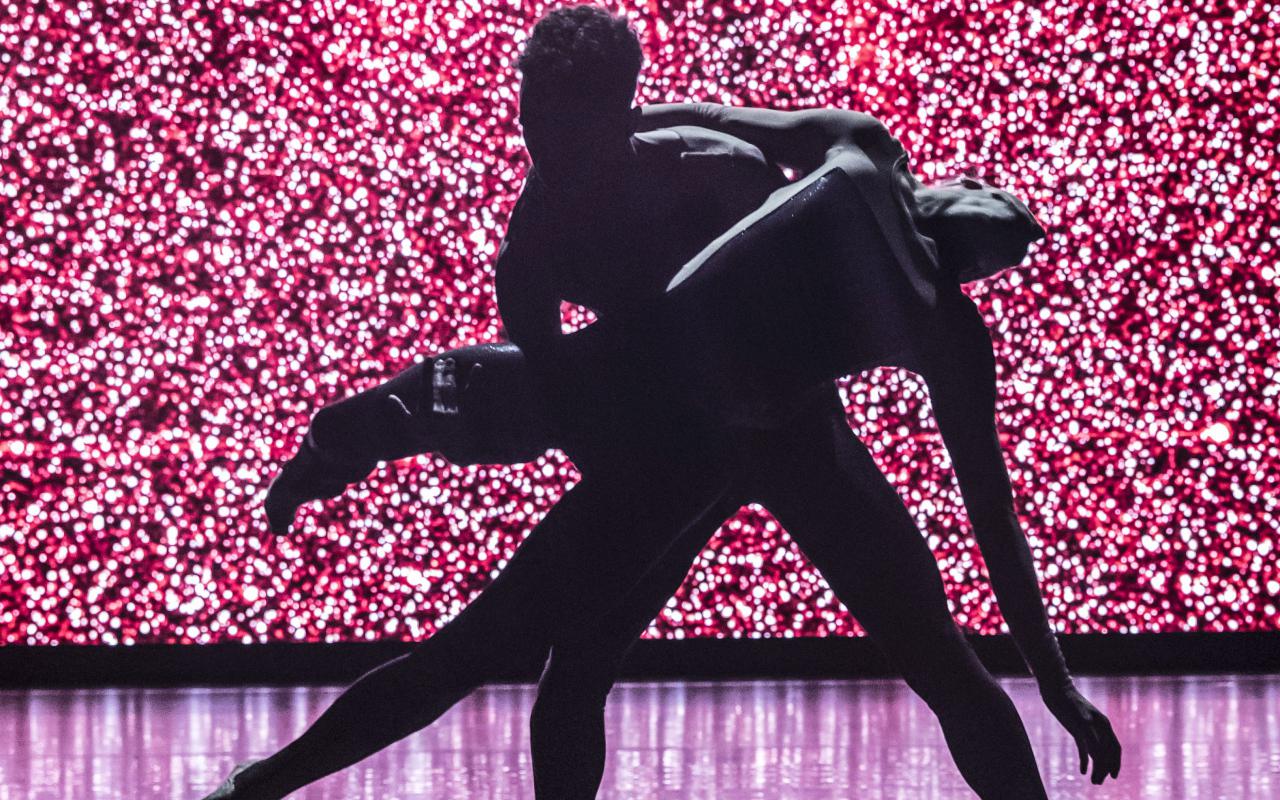 The silhouette of two interwoven dancers in front of a pink-lit background