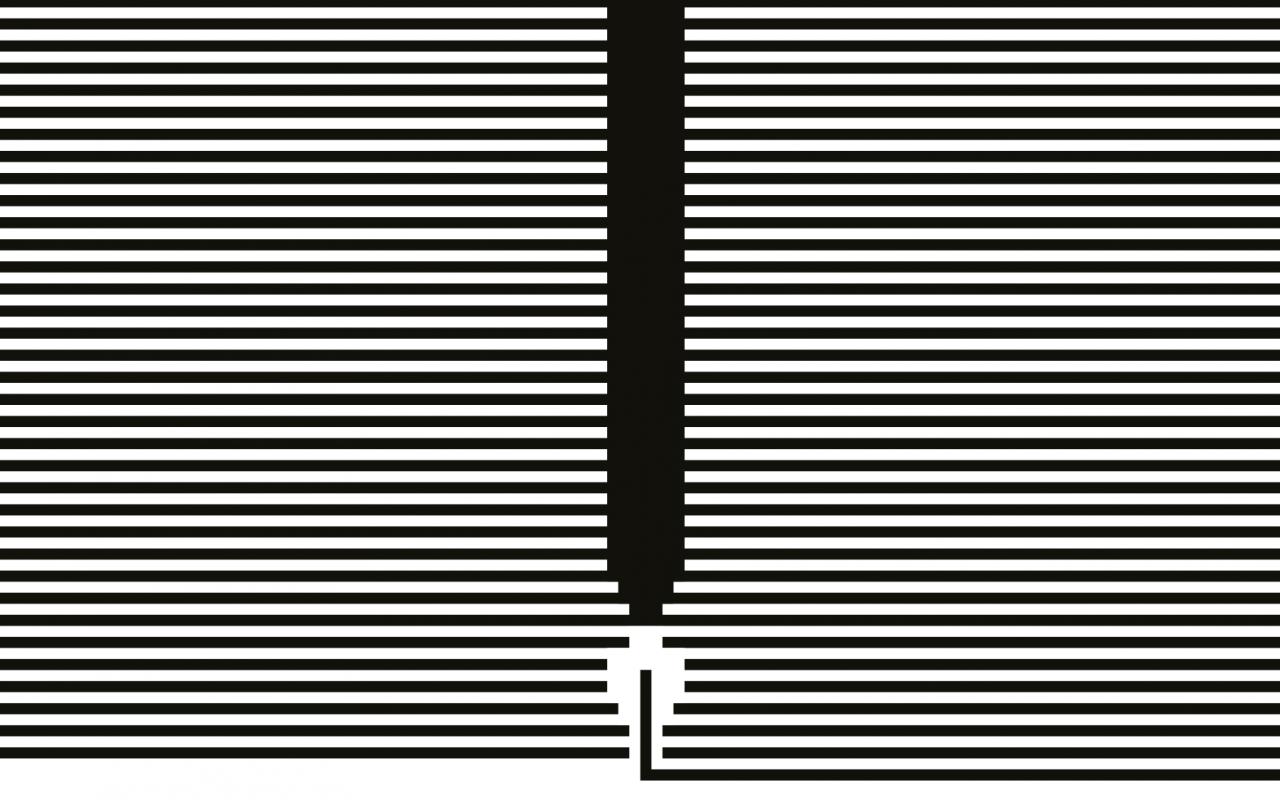 The picture shows a book cover with black and white horizontal lines and a feather.