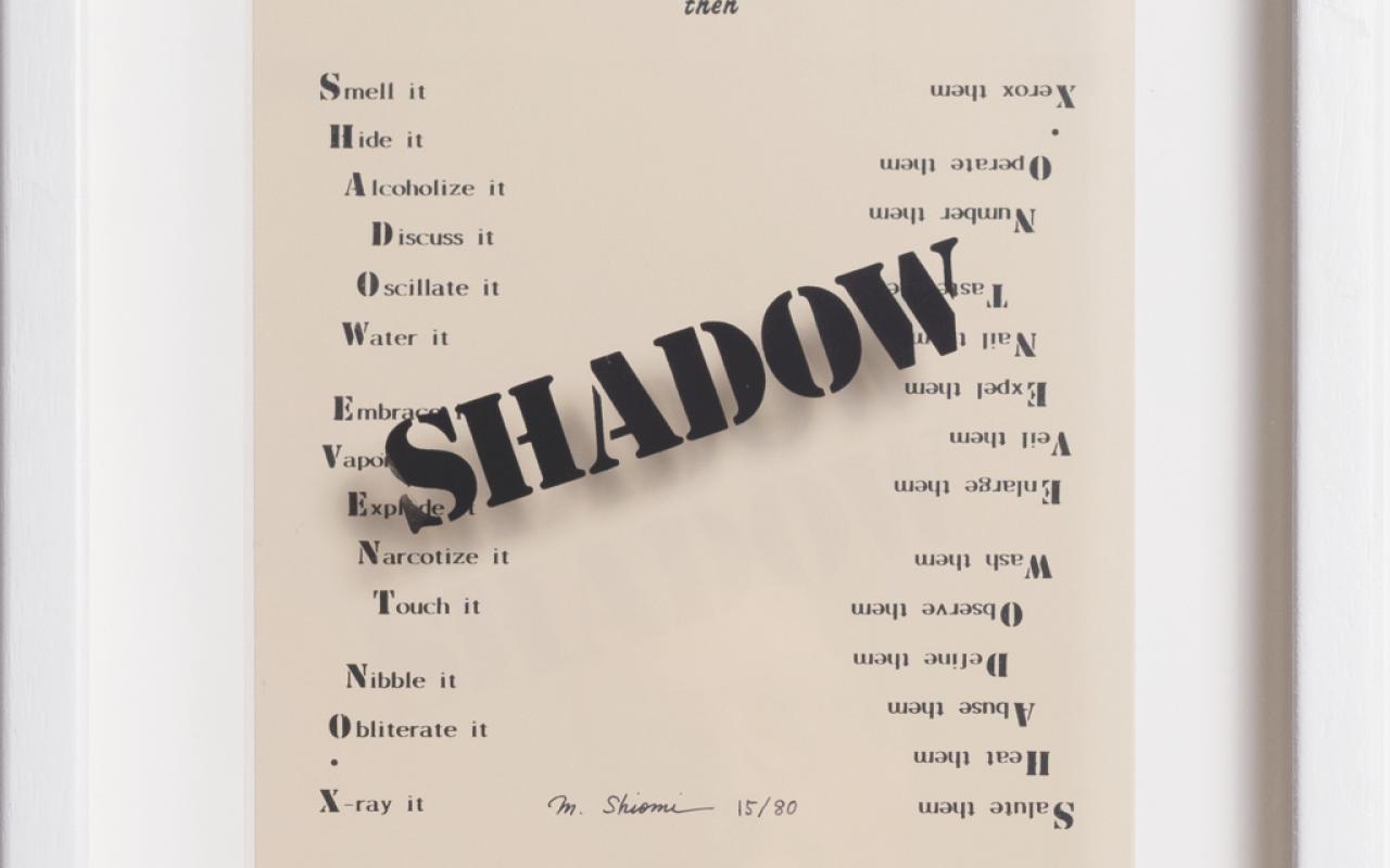 Shadow Event No. X