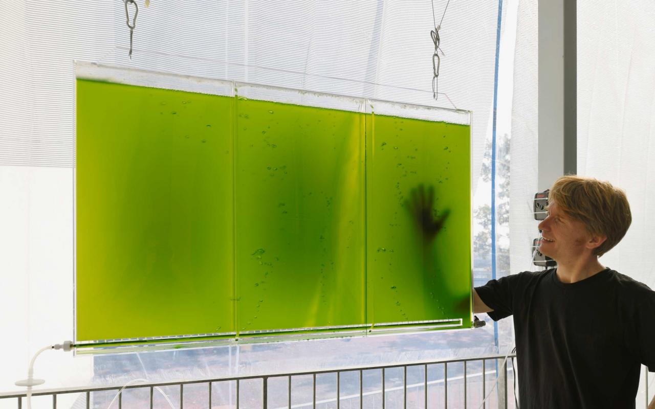 You can see a rectangular, flat container filled with a green liquid. A person is standing next to it on the right.