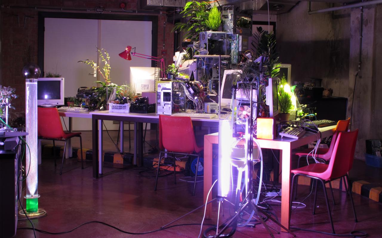 There is a hodge-podge of plants computers, screens and desklamps on a table.