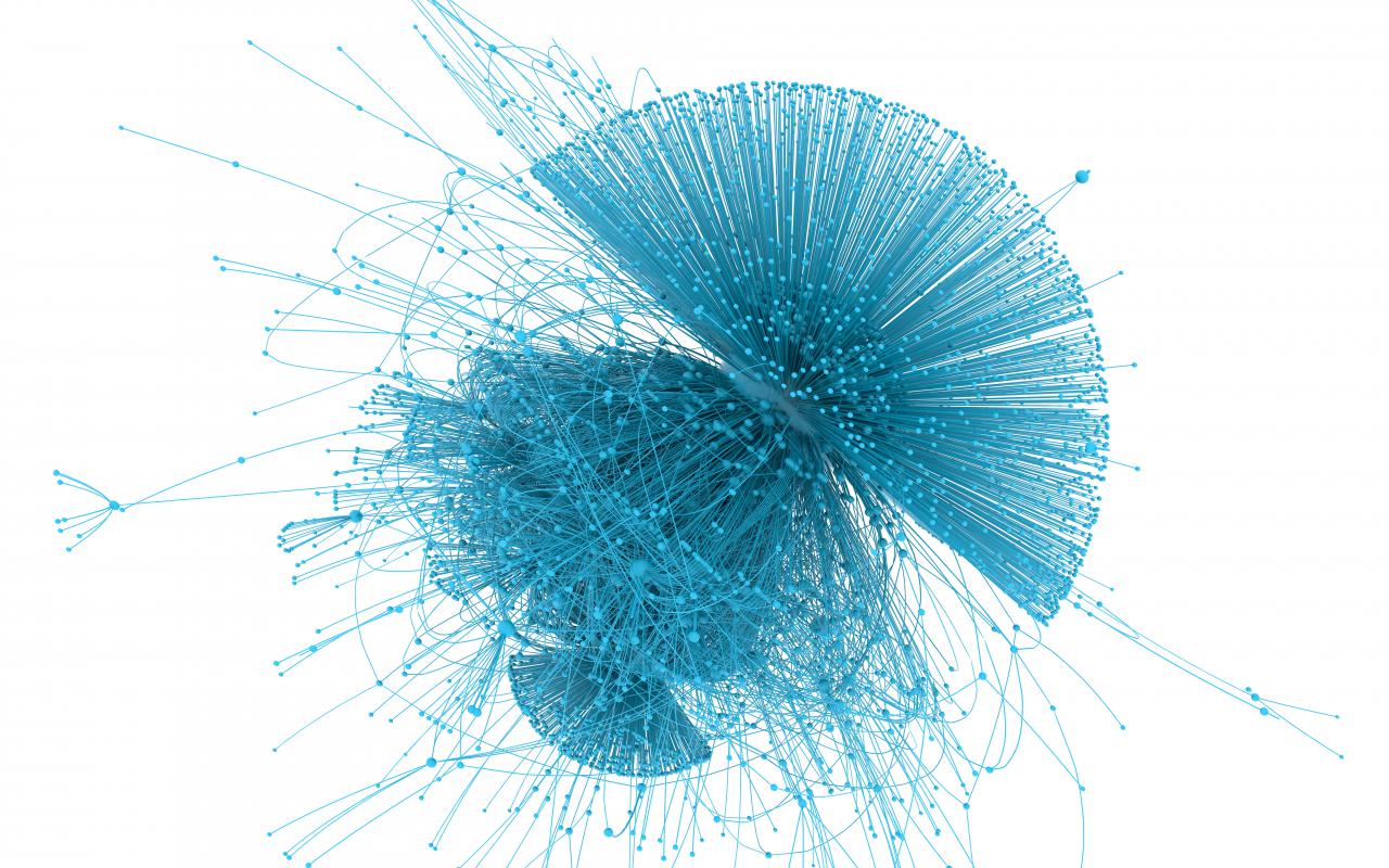 You can see a network that has a similar shape to a jellyfish.