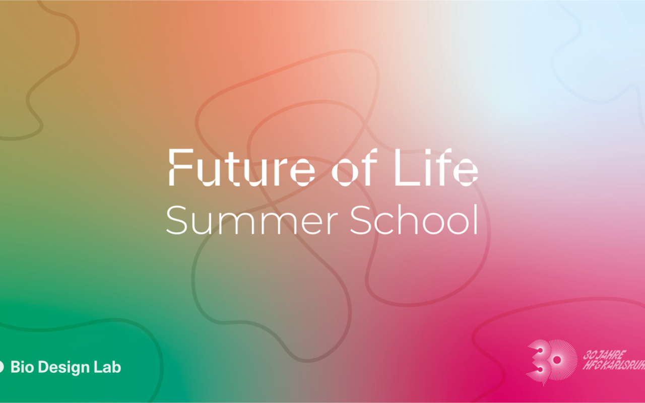 Auf dem Bild ist der Titel Future of Life Summer School auf einem bunten Hintergrund zu sehen.