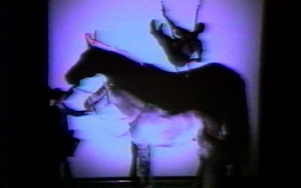 Werk - Aló (The Horse) (Ausschnitt / excerpt)