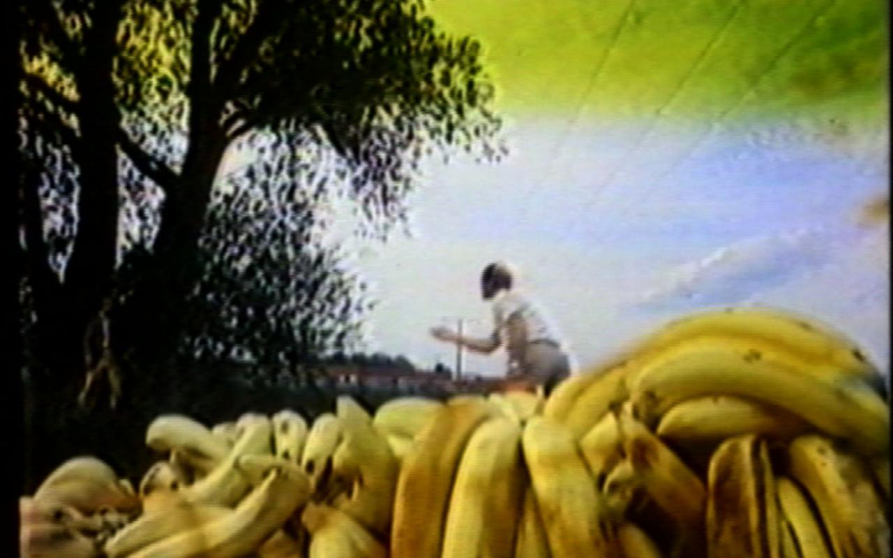 Werk - Bananen