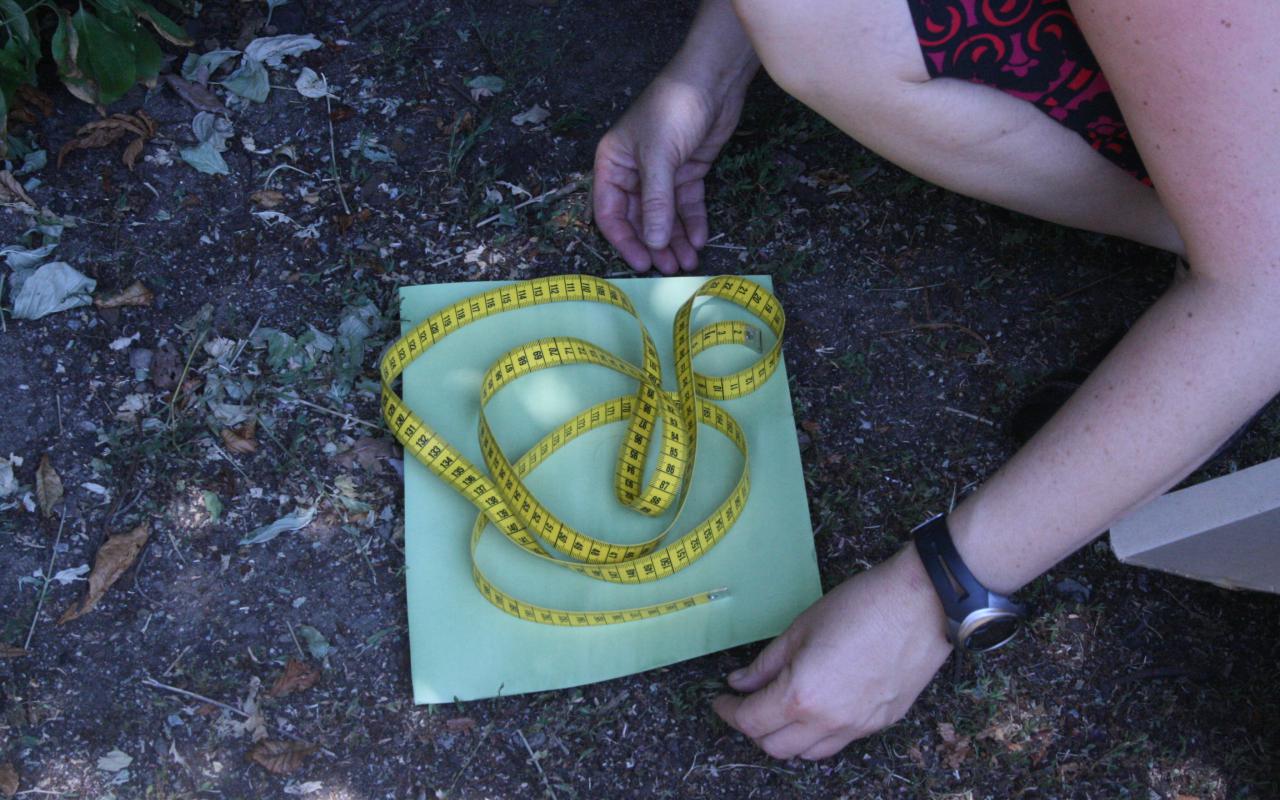 A person is kneeling on the ground and is holding a photogram with a curly measuring tape on it.