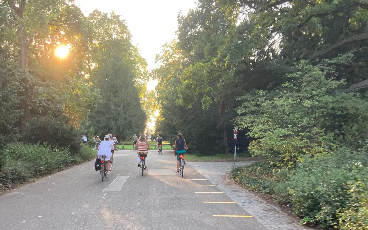 Three people ride their bicycles towards the setting sun in Karlsruhe's Schlossgarten.