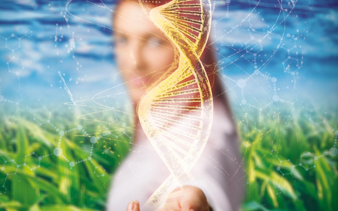 One can see a woman putting her hand towards the viewer. From her hand a DNA strand spins across the center of the picture. 