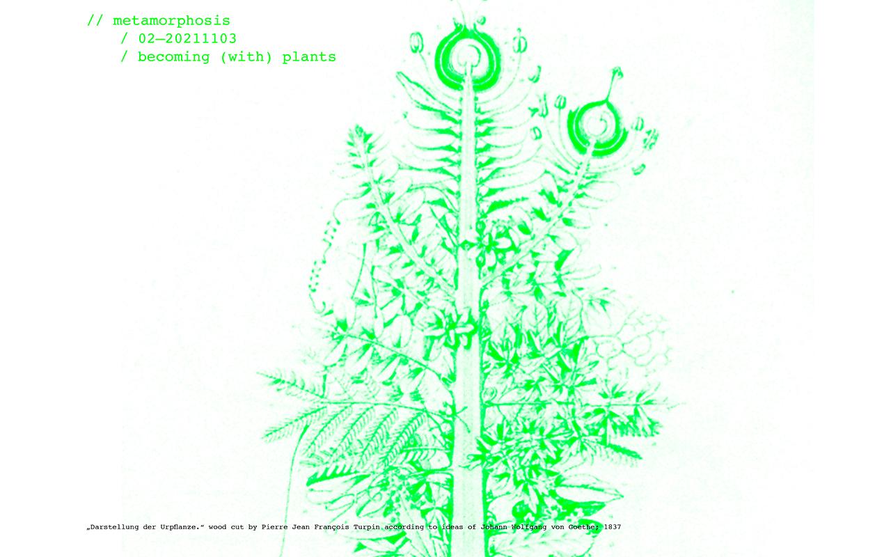 Letterpress illustration of a plant in neon green