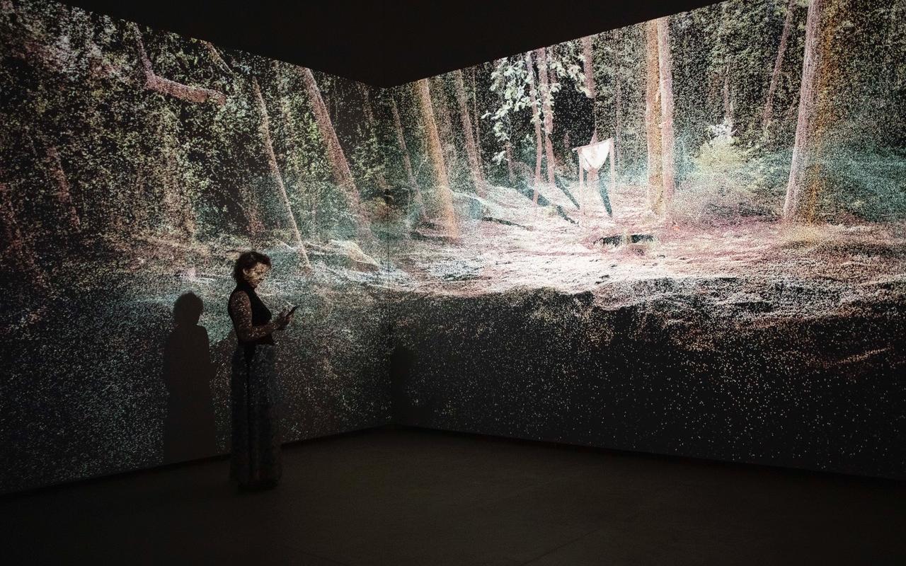 You can see a woman standing in front of two illuminated walls. Projected is a forest
