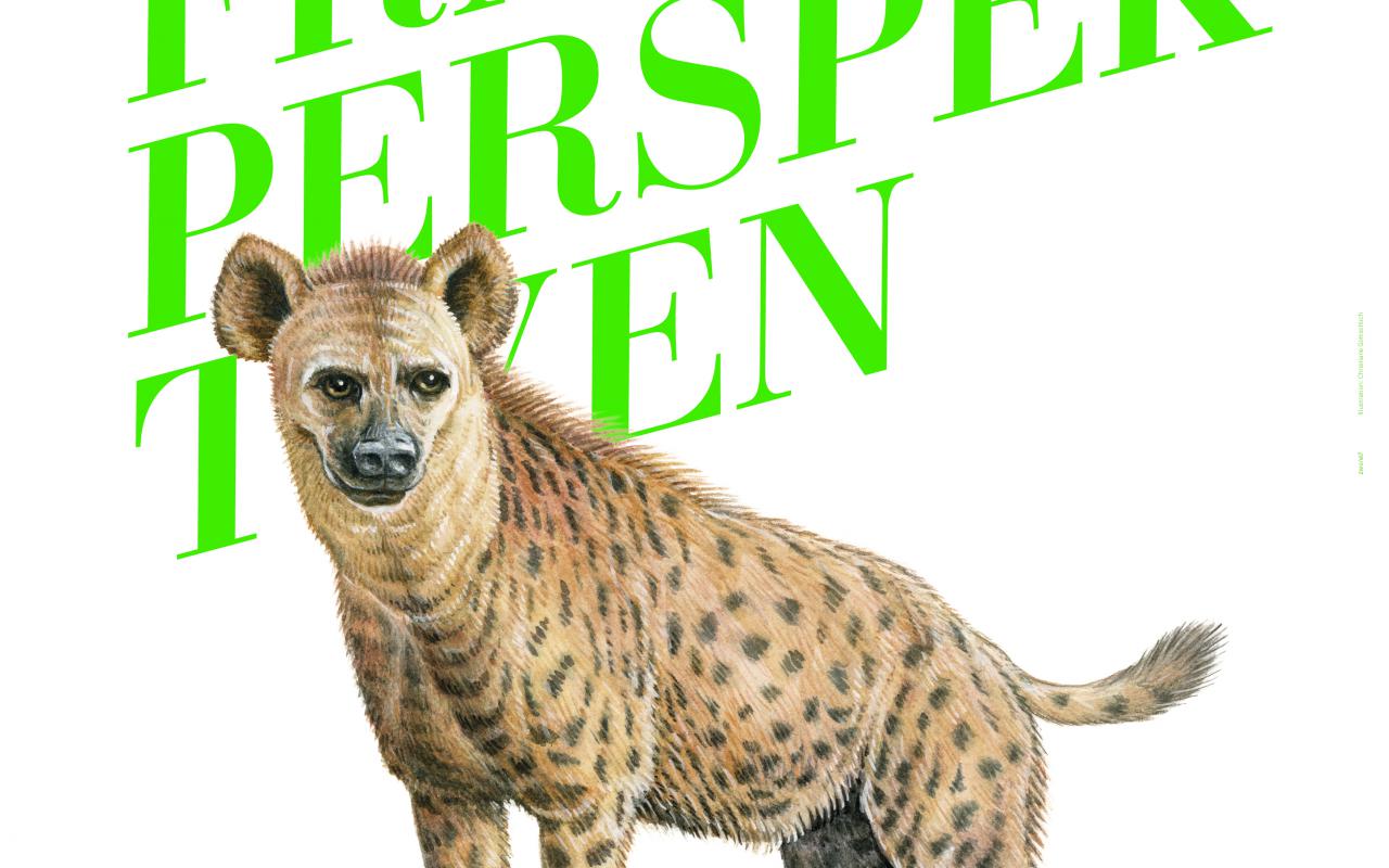 Schriftzug Frauenperspektiven und Logotier Hyäne.