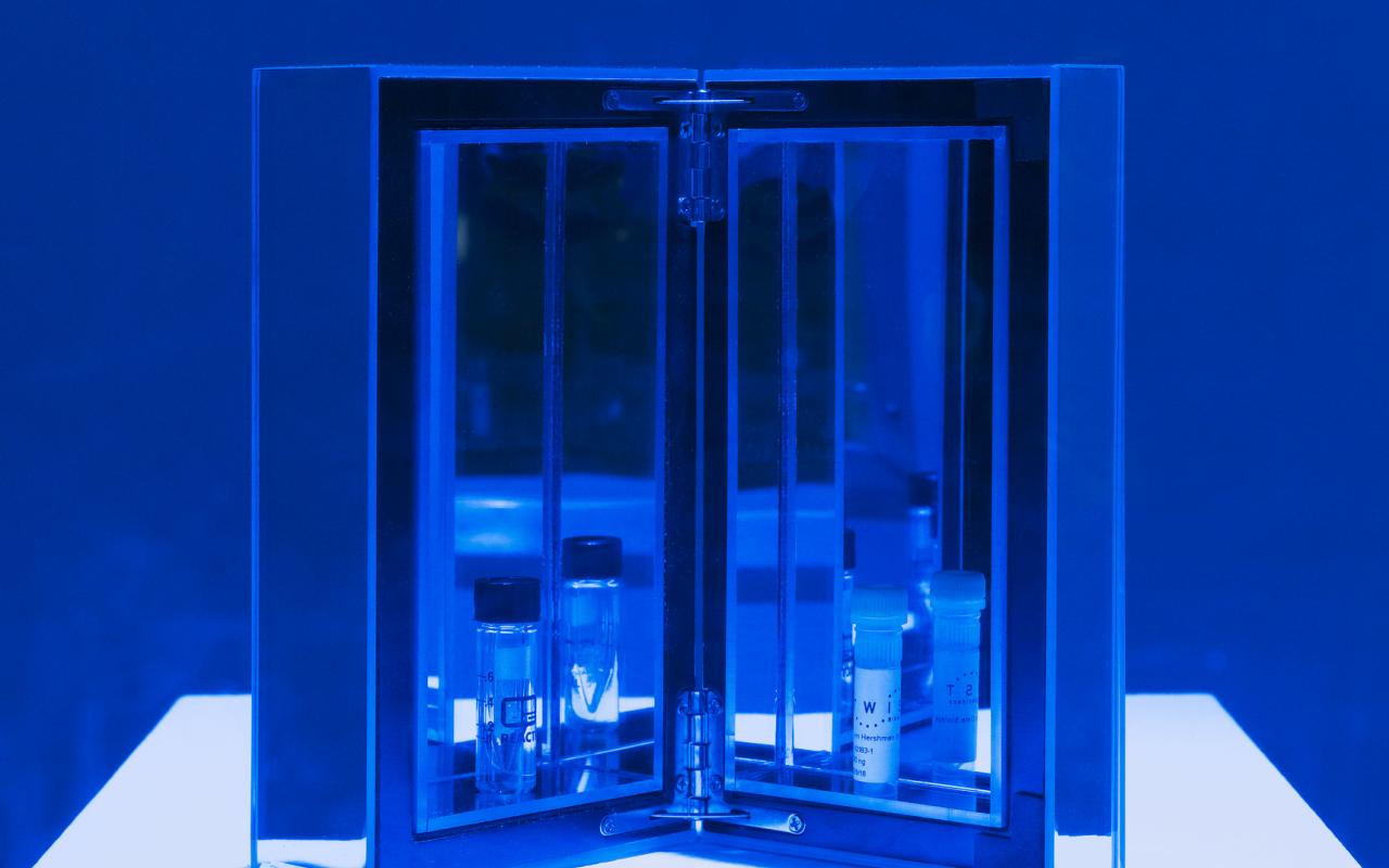 You can see the work »The Infinity Engine«. You can see an opened, mirrored object, which contains test tubes.