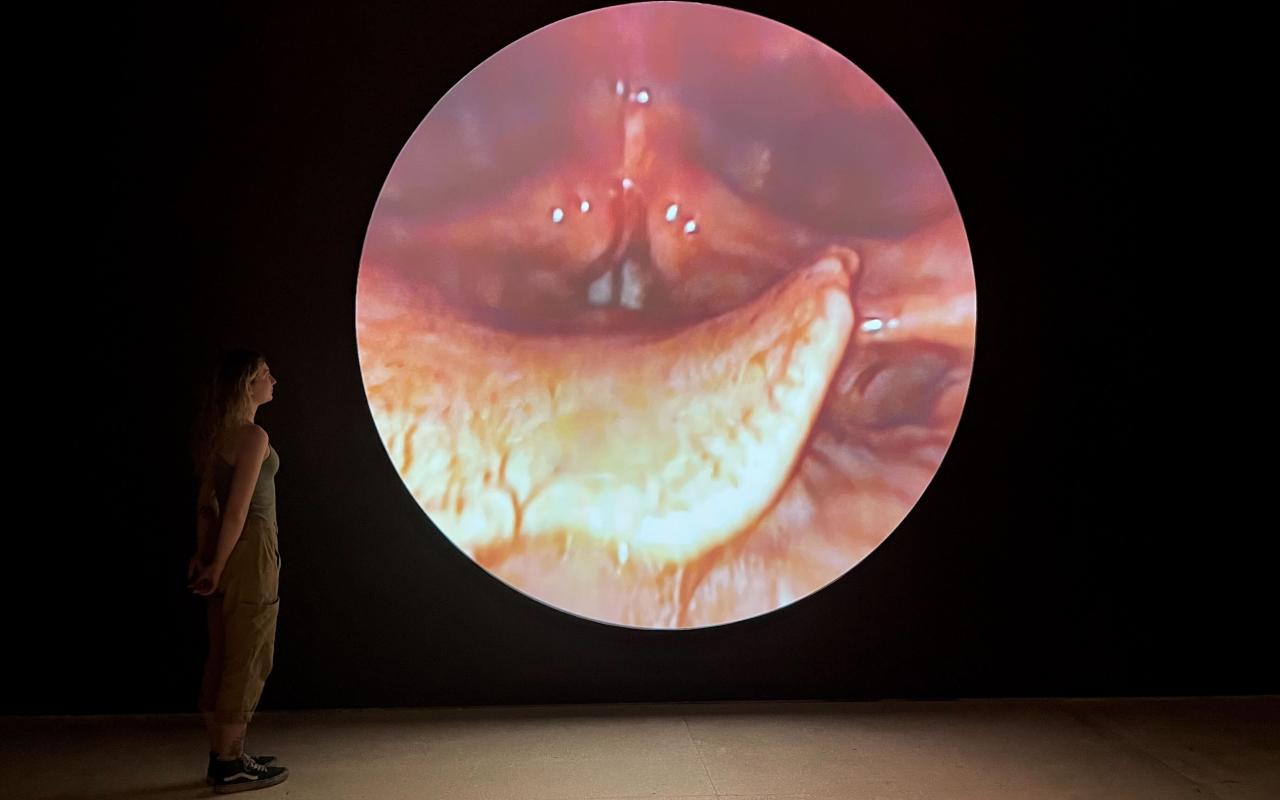 Man sieht das Werk »Vocal Folds«. Eine Frau steht in einem abgedunkelten Raum und schaut auf eine runde Projektion. Die Projektion zeigt eine Magenspiegelung.