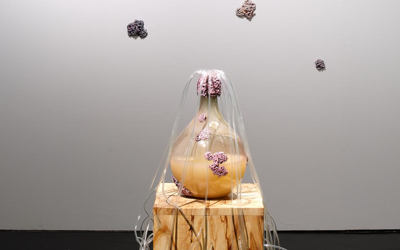 You can see the work »Fermenting Futures«. In the center is a glass container filled with a liquid. Organic objects are attached to the glass. Several tubes lead out of the opening.