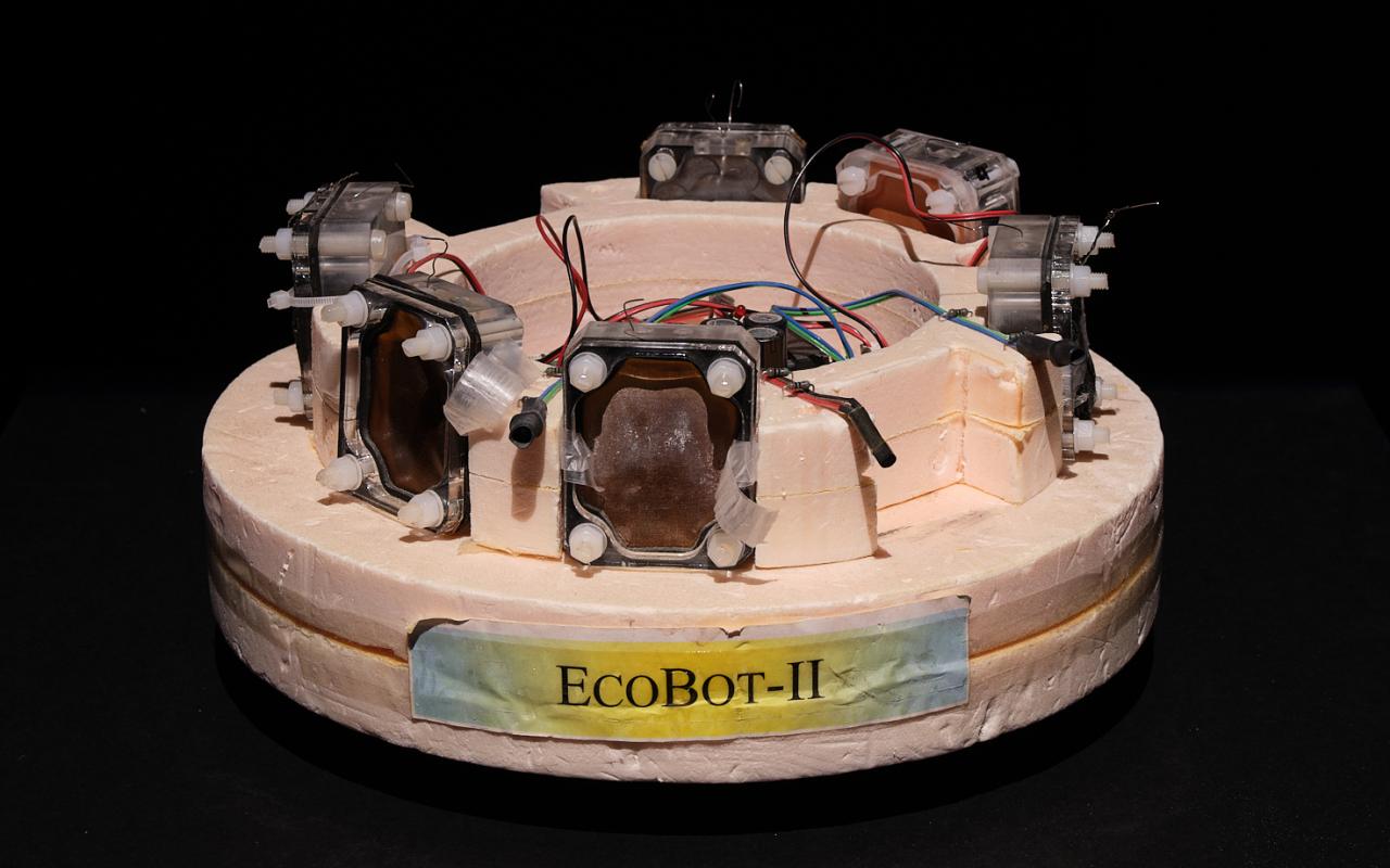 "EcoBot I," (2002); "EcoBot-II," (2005) by Bristol Robotics Laboratory. 