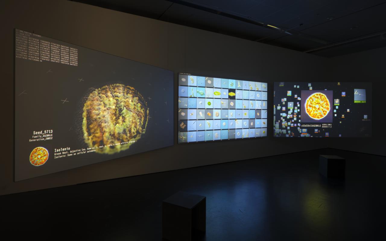 »Codex Virtualis: Genesis« by Interspecifics. You can see a darkened room with three large screens hanging on the wall. These depict different organisms.