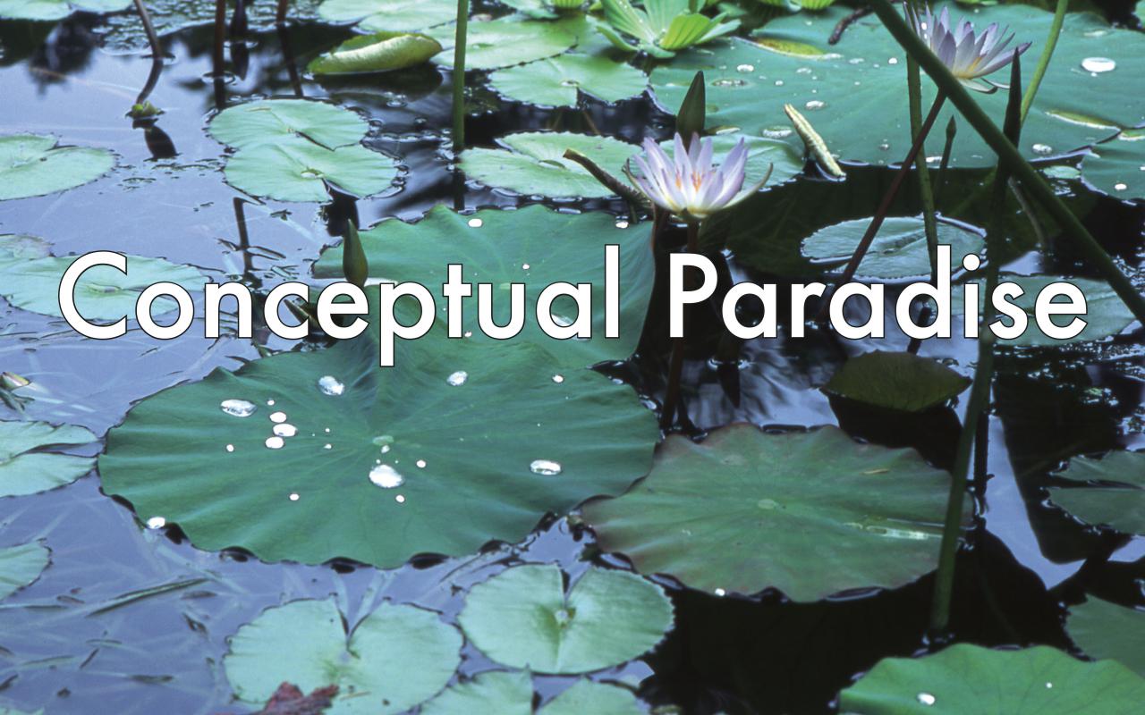 Foto eines Teichs mit Seerosen. Davor in Weiß der Text »Conceptual Paradise«.