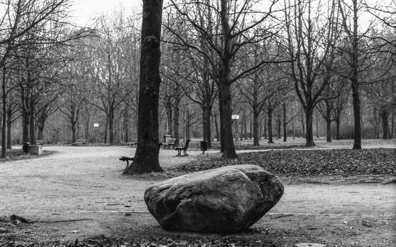 Schwarzweiße Fotografie: Park, mit kahlen Bäumen, im Vordergrund ein Findling