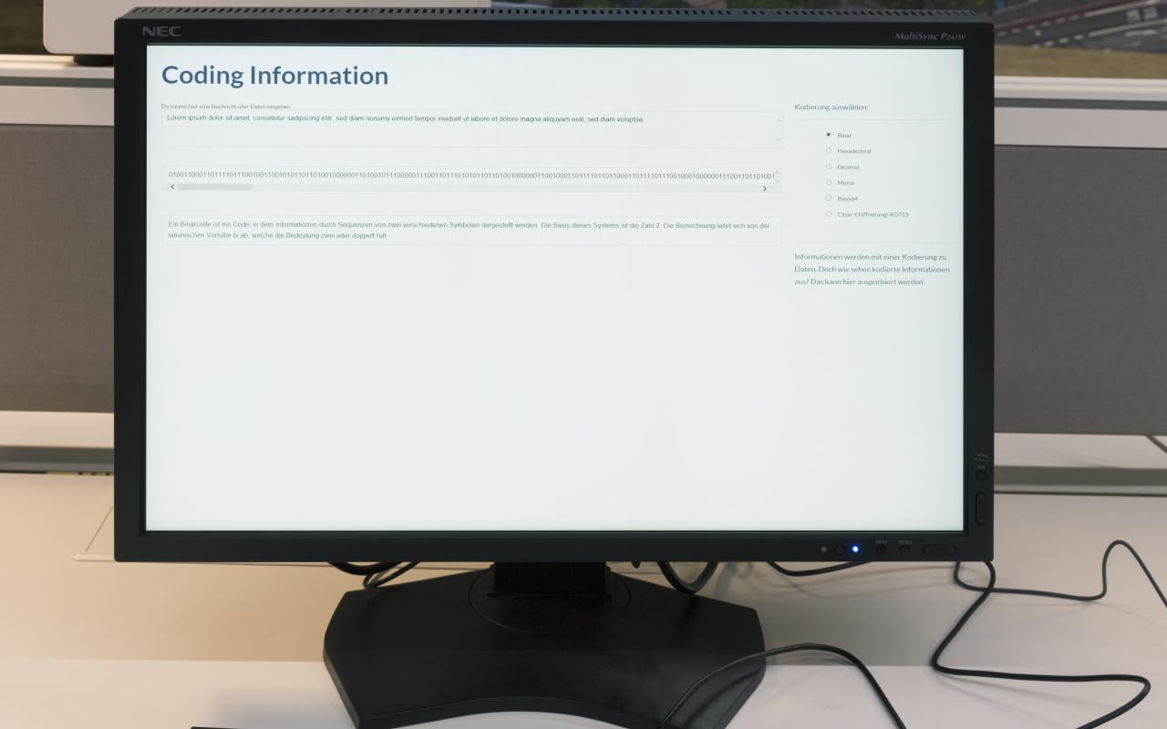 Ein Monitor zeigt einen Text und Binärcode
