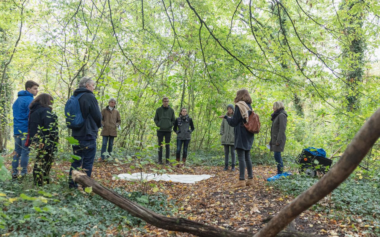 In the forest a group of people stand around a cloth that is on the ground. The forest floor is full of leaves.
