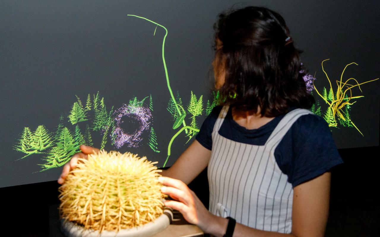 A young woman touches a plant while looking at a projection with plants on a wall next to it.