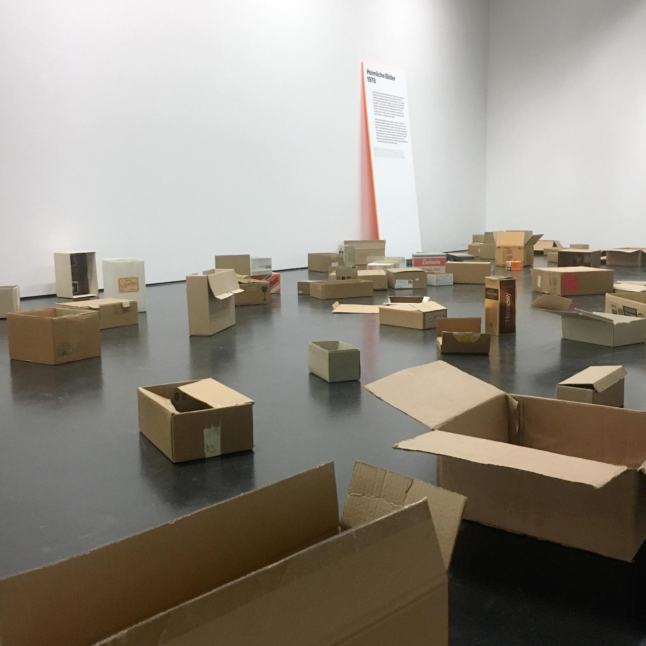 Brown cardboard boxes, distributed throughout the room