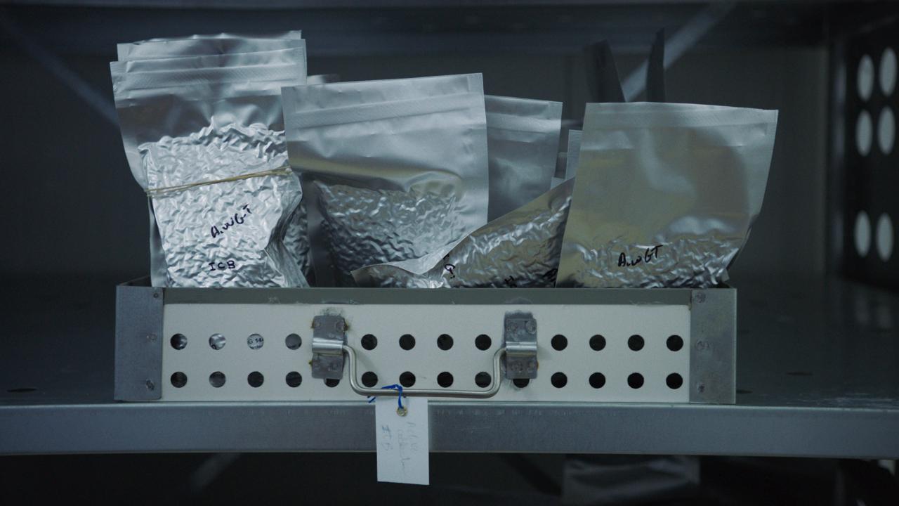 Photo of a metal shelf with a drawer. The drawer is full of silver bags filled with genetic material.