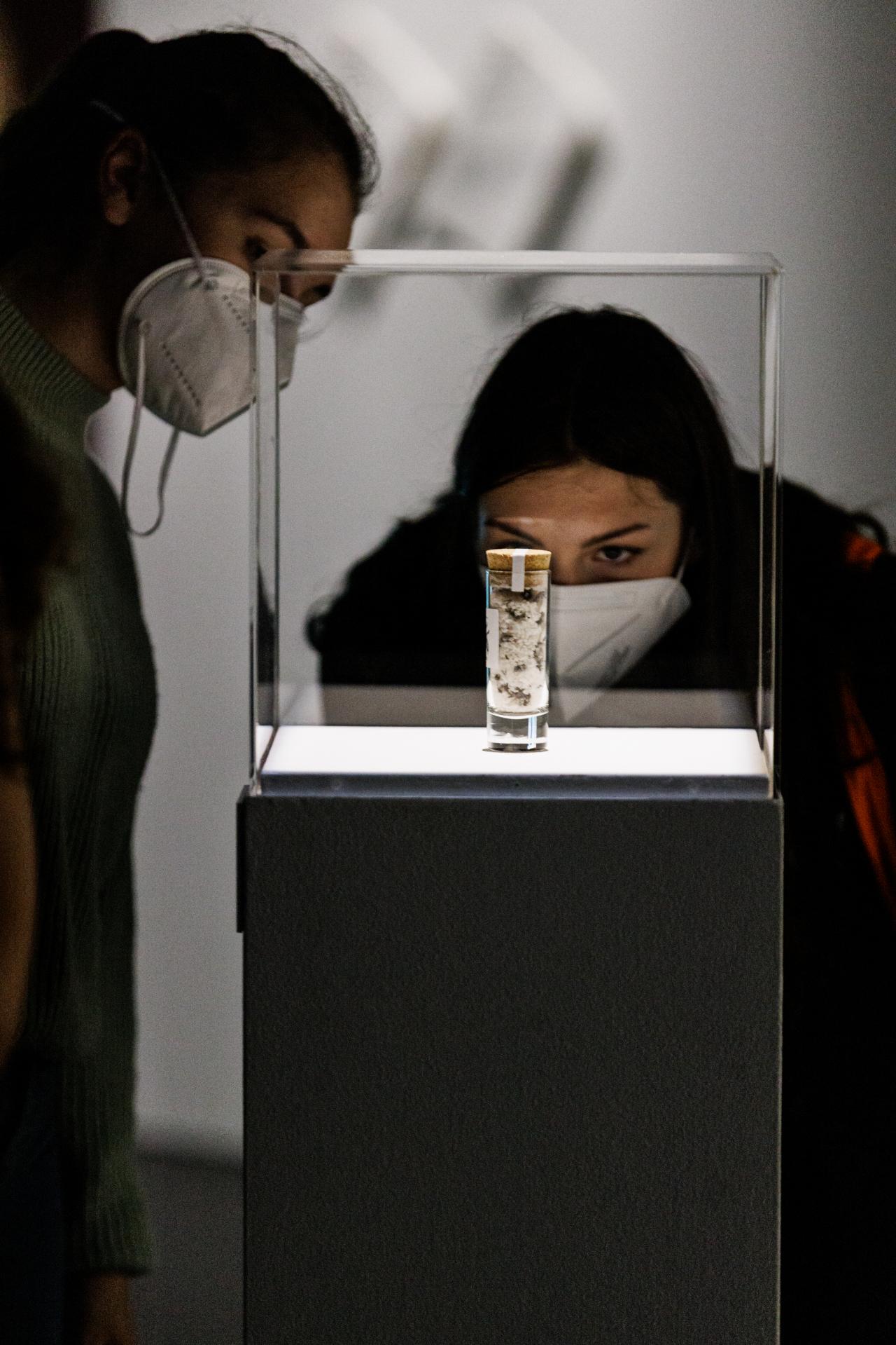 Besucherinnen vor einem Werk aus »The Artwork as a Living System«