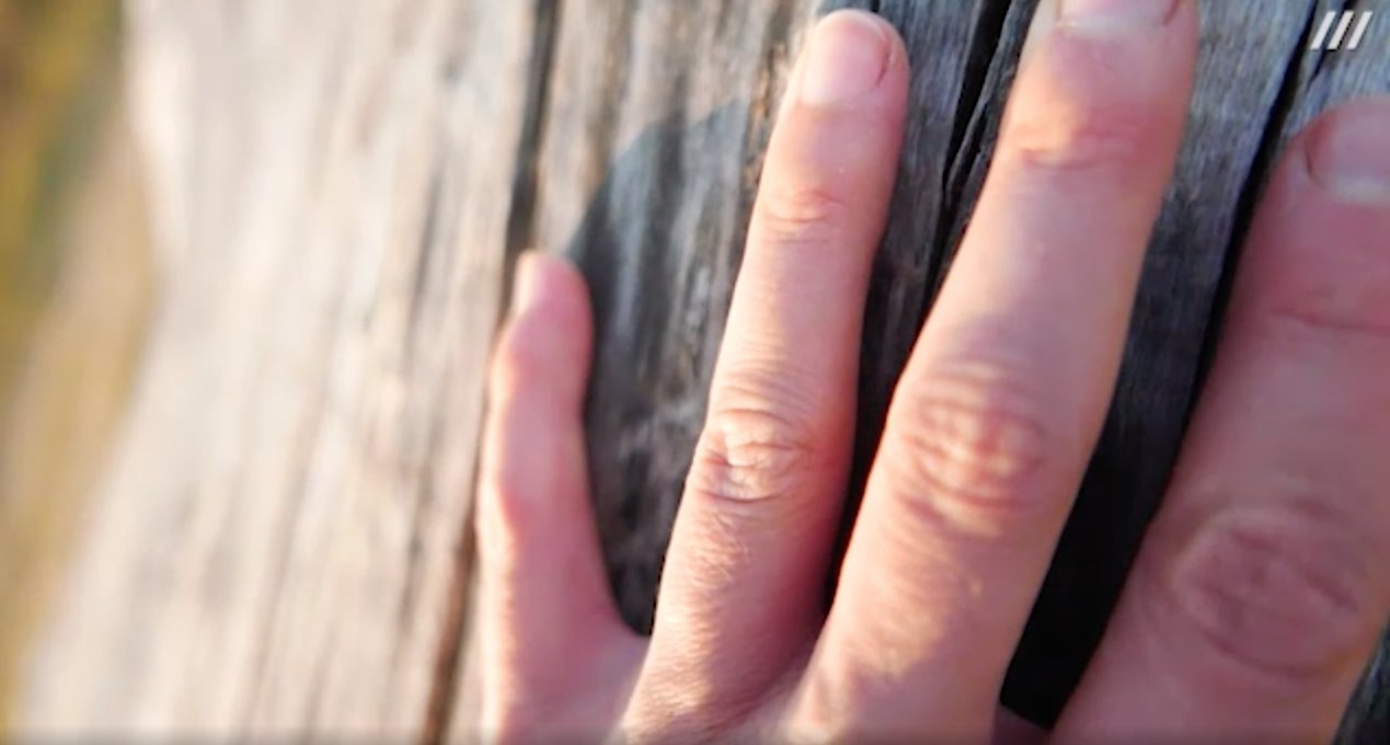 The image shows a close-up of fingers of a hand on a tree.