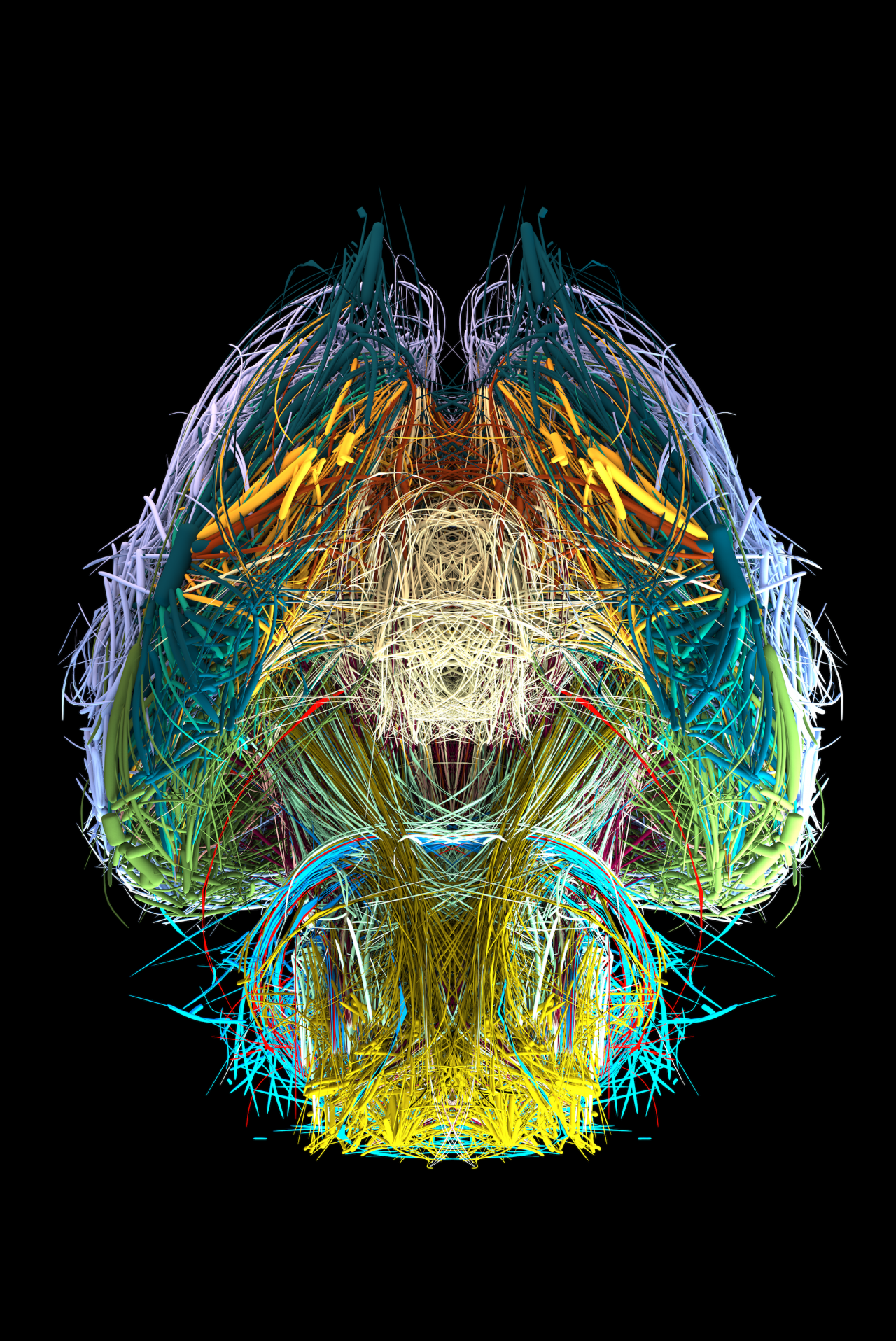 Visualisierung des Konnektoms eines Maus-Gehirns in verschiedenen Farben, Ansicht von unten