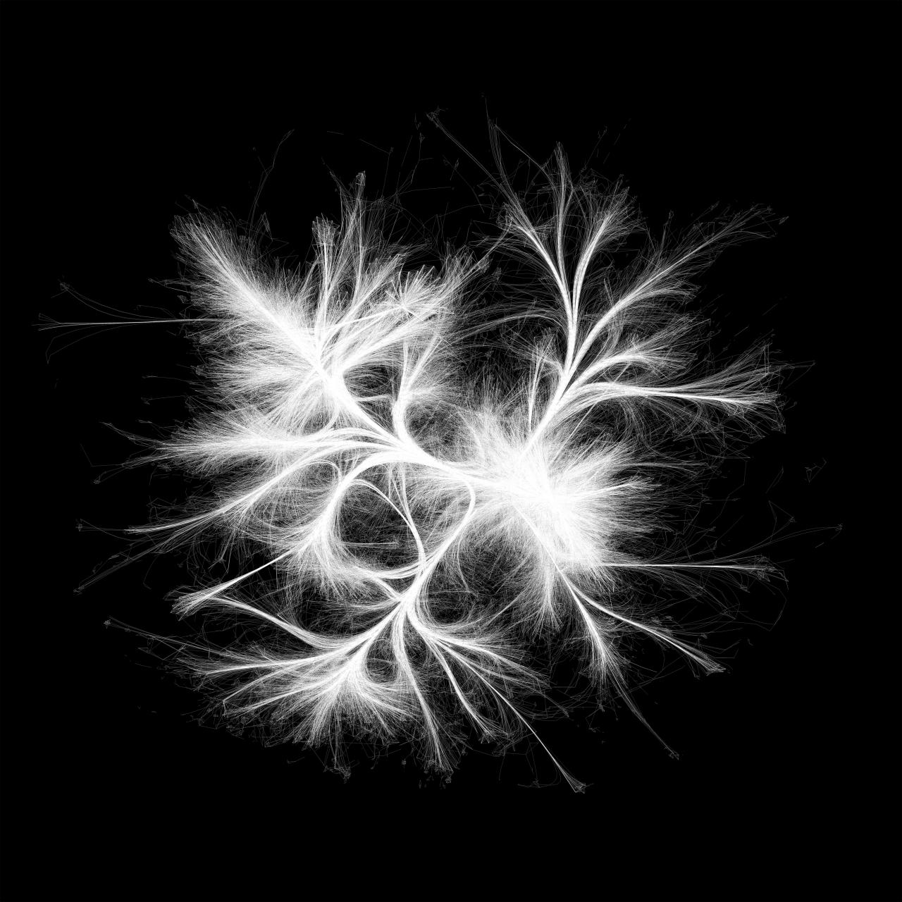 Eine Visualisierung eines Netzwerks aus weißen Strängen auf schwarzem Hintergrund, die sich nach außen hin zerfransen