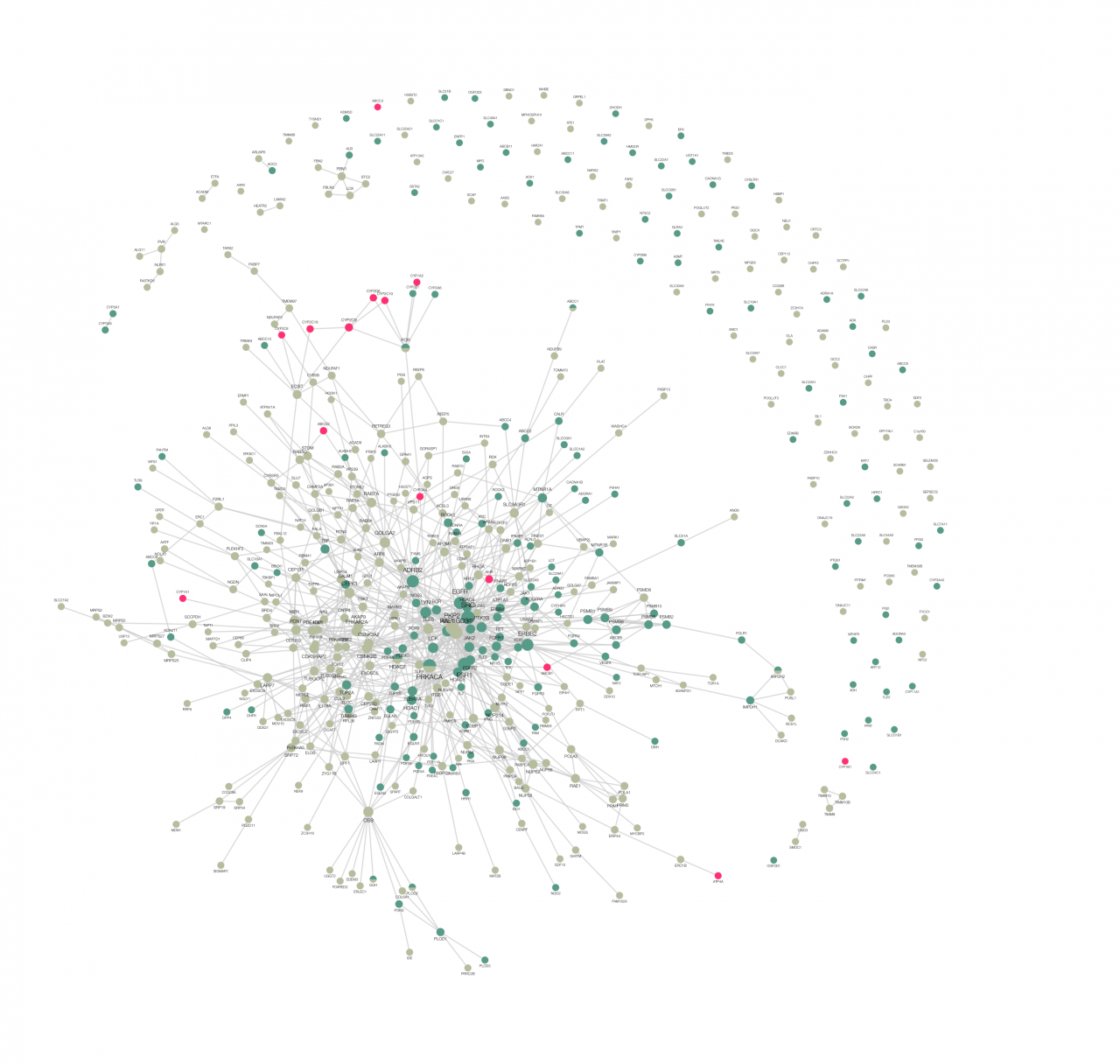 Netzwerk-Cluster miteinander verbundener Punkte, daneben halbmondförmig einzelne Punkte