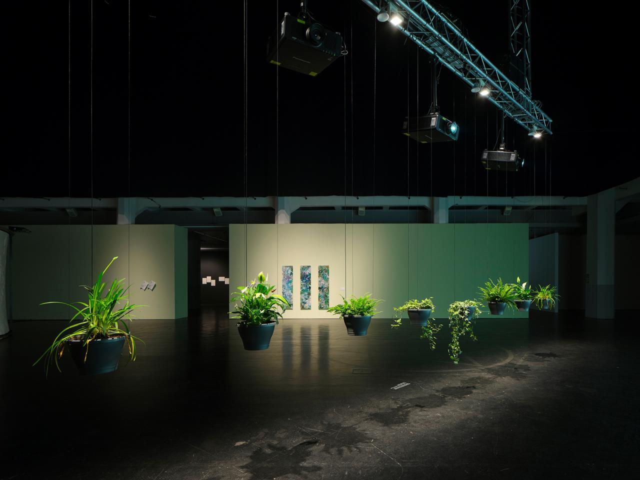 On display is the work "Eau de Jardin". The picture shows a total view of the work. The plants hang in pots arranged in a row from the ceiling and hang in front of a large canvas.