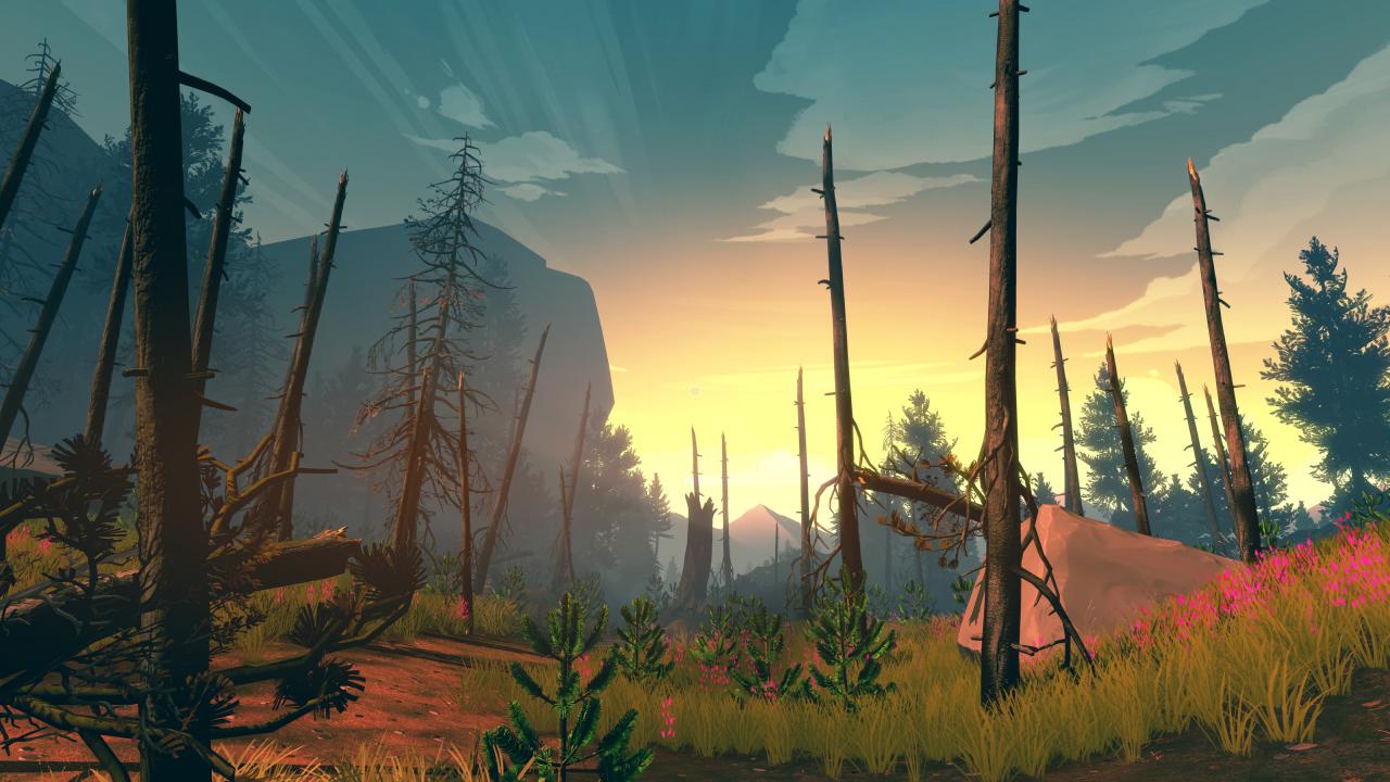 Screenshot: Sonnenaufgang und blattlose Bäume