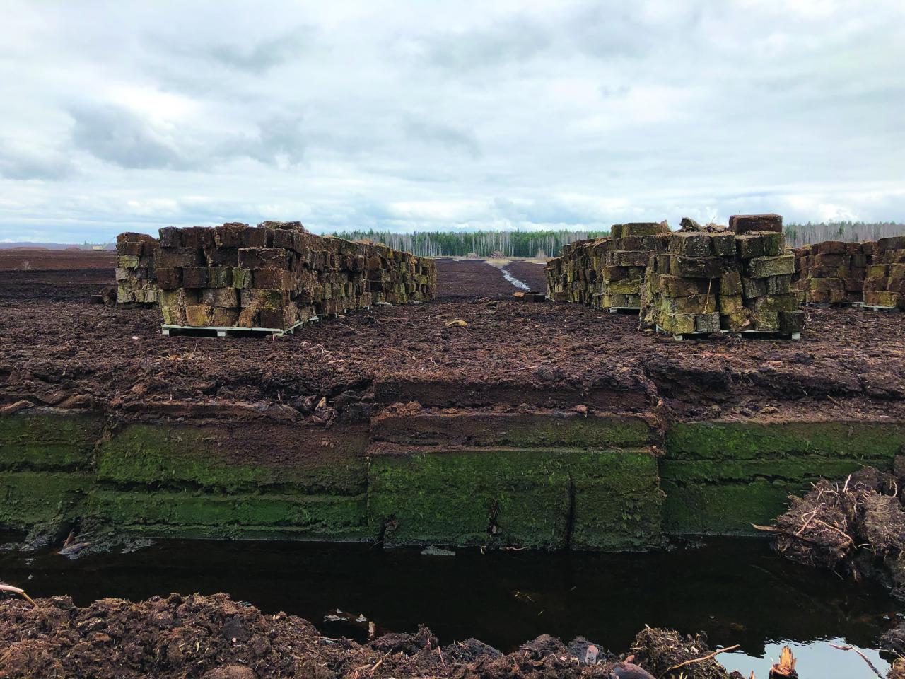 A lonely and monotonous landscape. On wooden pallets stand high stacks of peat blocks. In the front of the picture a small slope is visible. The sky is cloudy.