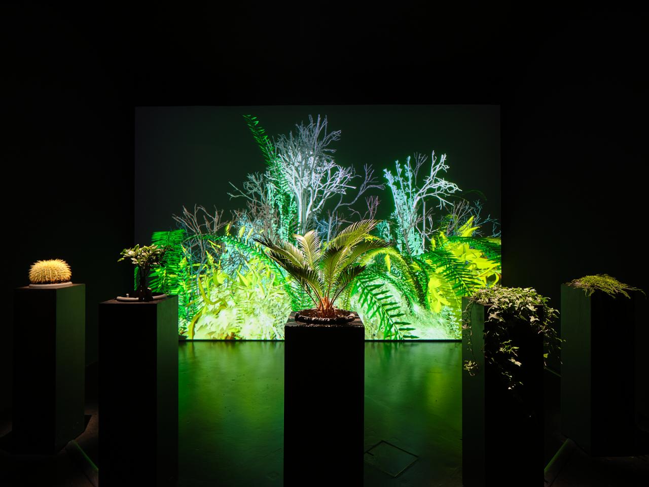 Zu sehen ist das Werk »Interactive Plant Growing«. Eine totale Ansicht zeigt eine Variation aus Pflanzen, die in Töpfen von der decke hängen und in einem Halbkreis vor einer Leinwand angeordnet sind. Die Farben halten sich in unterschiedlichen Grüntönen.
