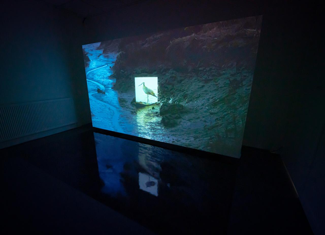 In a dark room, there is a large screen showing footage of a seascape. In the middle of this footage is a seagull.