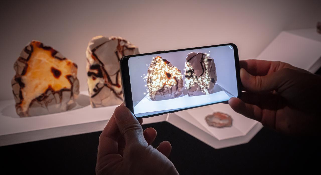 Zu sehen ist die Installation Exovision von Justine Emard, bestehend aus mehreren Fossilien, Steinen und versteinertem Holz über ein Handy mittels Augmented Reality