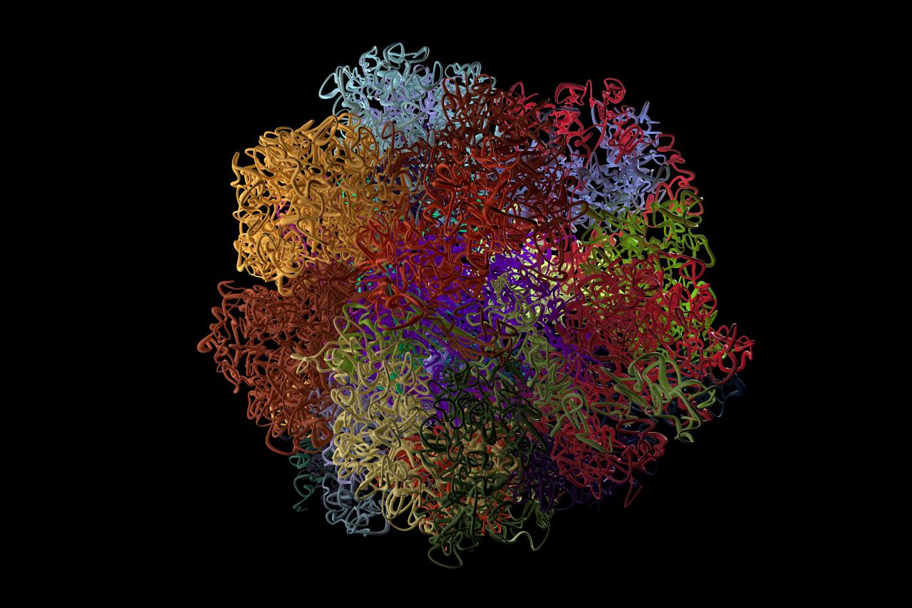 Abstract representation of the human genome. It looks like a ball of wool made of tangled threads in different colours.