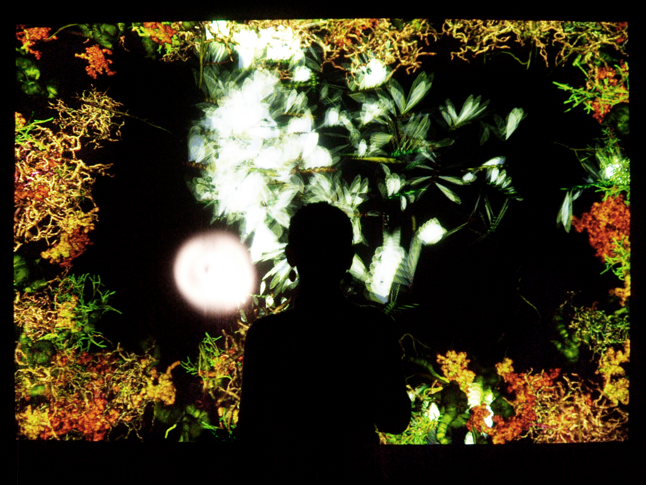 Die Silhouette einer Person vor einem Bildschirm leuchtender Pflanzen