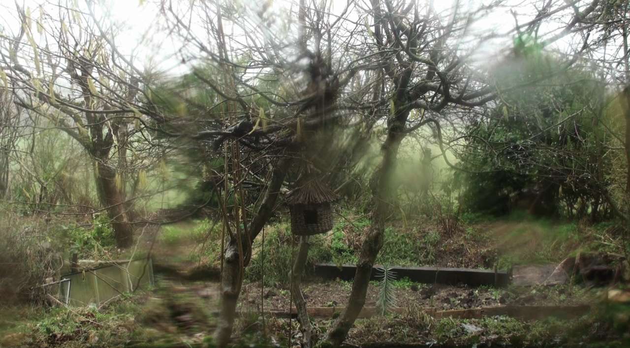 You can see a nature area with several trees. On one of the trees hangs a birdhouse. In places the photo is blurred.