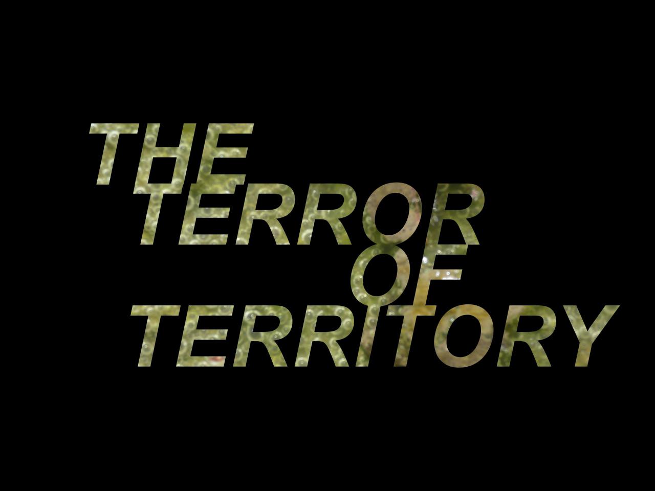 Rachel Libeskind, »THE TERROR OF TERRITORY«, 2021
