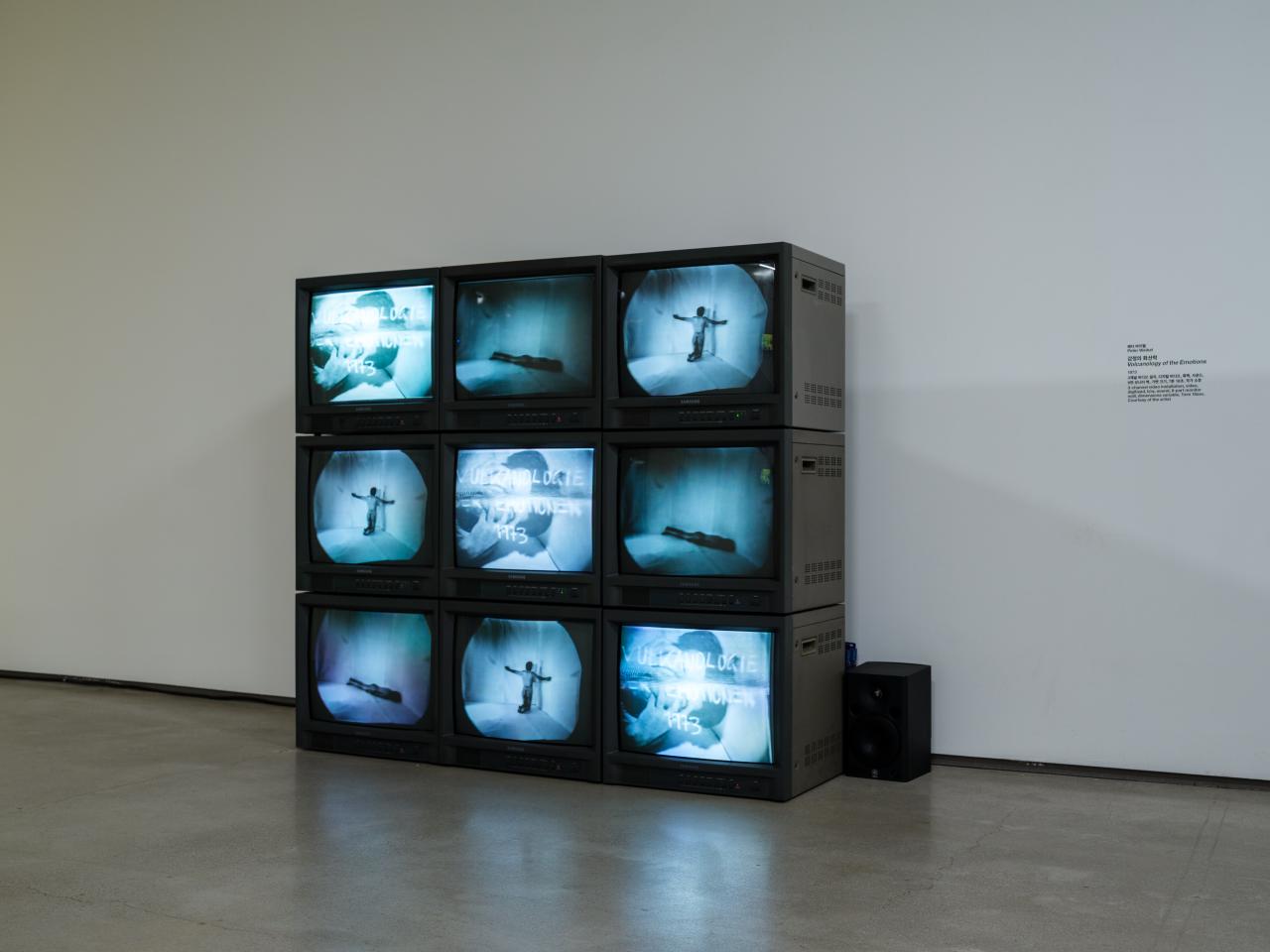 You can see nine small tube TVs, arranged as a square. They show a naked person in different positions in an empty room.