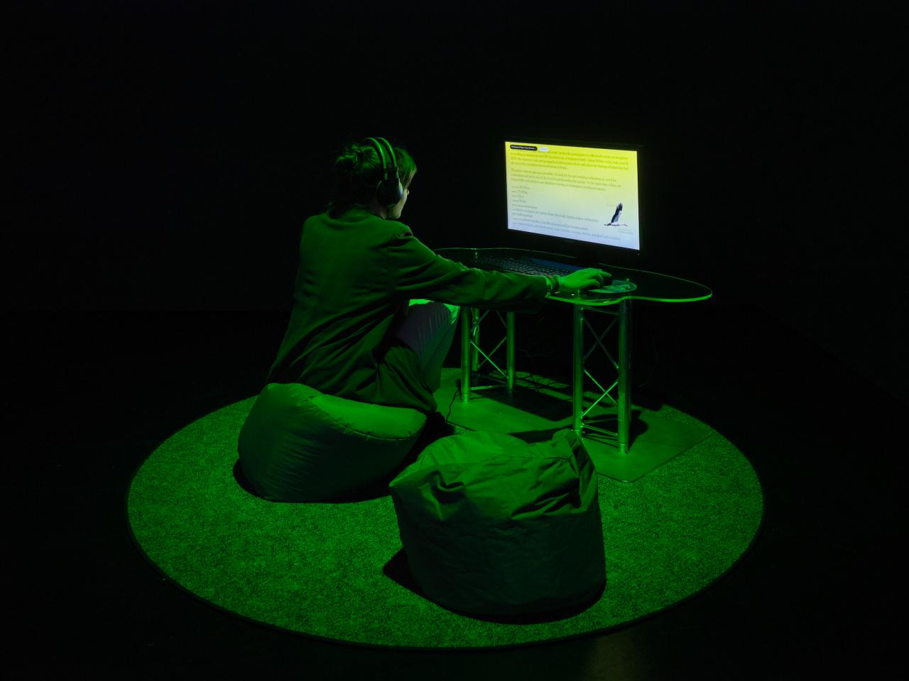 The picture shows a dark room with a green illuminated area in the middle. In this area there is a computer in front of which a young woman is sitting in a beanbag and looking at the computer screen.