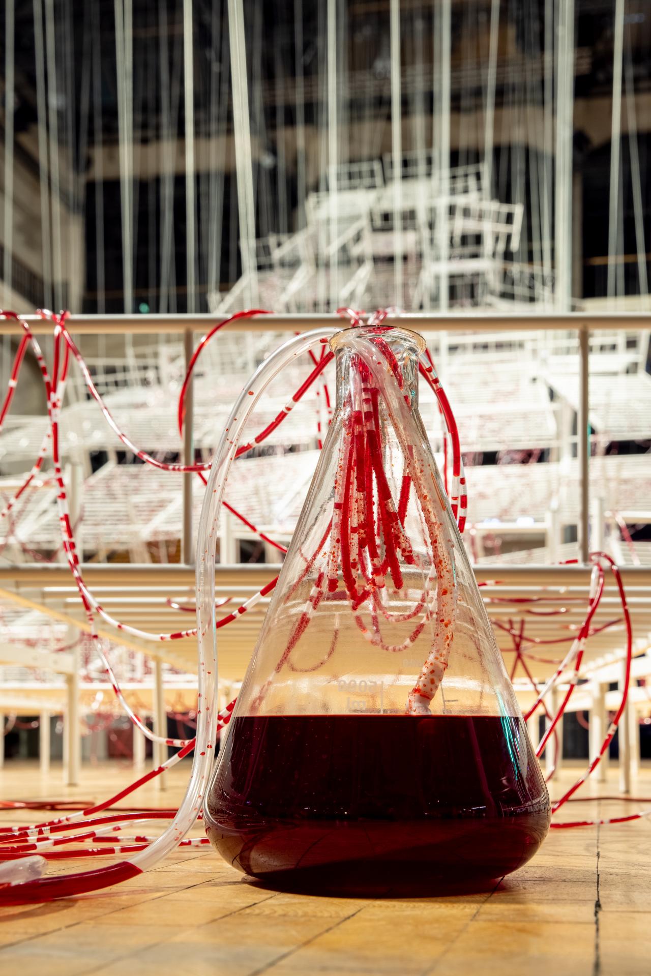 Ausschnitt von Chiharu Shiotas »Connected to Life«. Zu sehen ist ein gläserner, trichterförmiger Behälter, gefüllt mit roter Flüssigkeit und aus ihm herausragenden Schläuchen.