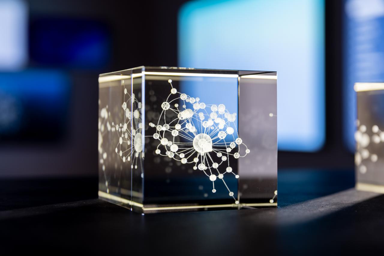 A close-up of a small glass box engraved with a network.