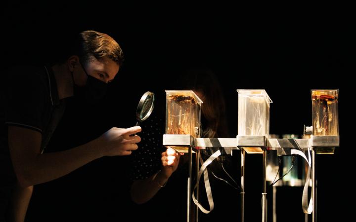 A man looks at the generative chemical audio installation by Robertina Šebjanič, Zergon (Aleš Hieng), Ida Hiršenfelder with a magnifying glass.