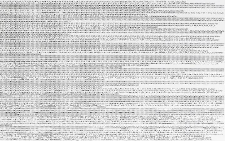 Full-size representation of a computer code