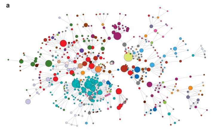 Ein Netzwerk von verschiedenen Krankheiten, dargestellt durch vernetzte Punkte in unterschiedlichen Farben