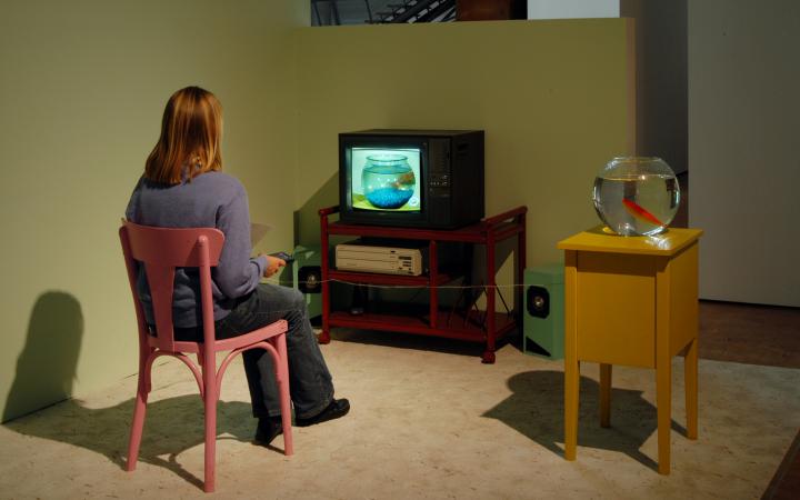 A woman sitting in front of a small TV, next to her a round fishbowl